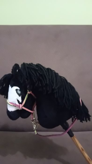 Kary Hobby Horse A4 z połową serduszka na pysku ze sprzętem