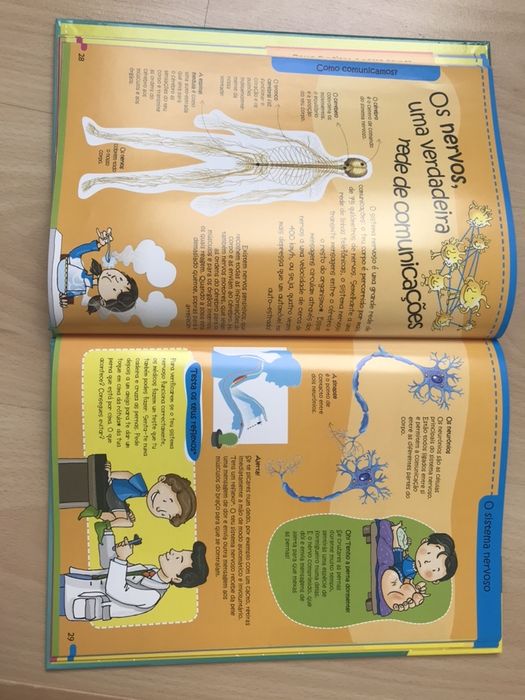 À descoberta do Corpo Humano