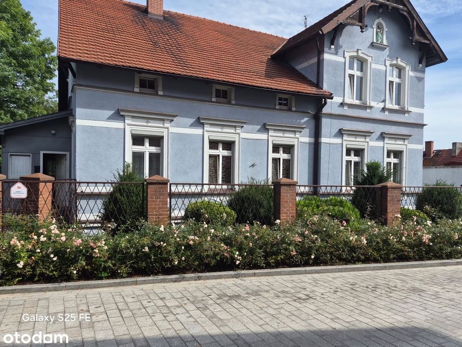 Zdjęcie 2