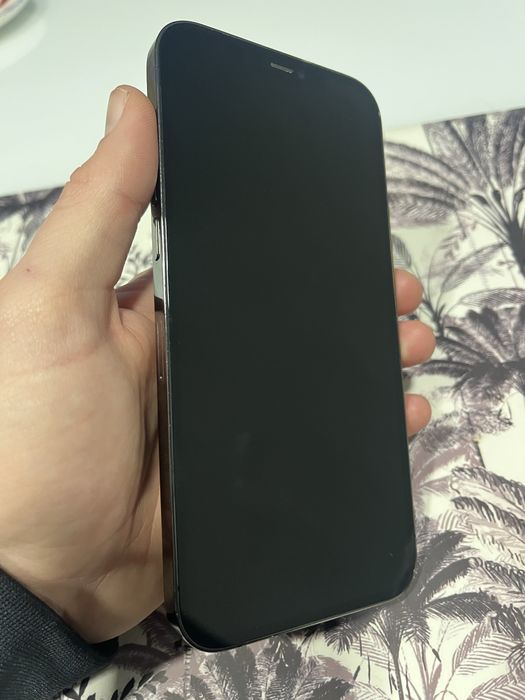 Iphone 12 Pro Max 256Gb