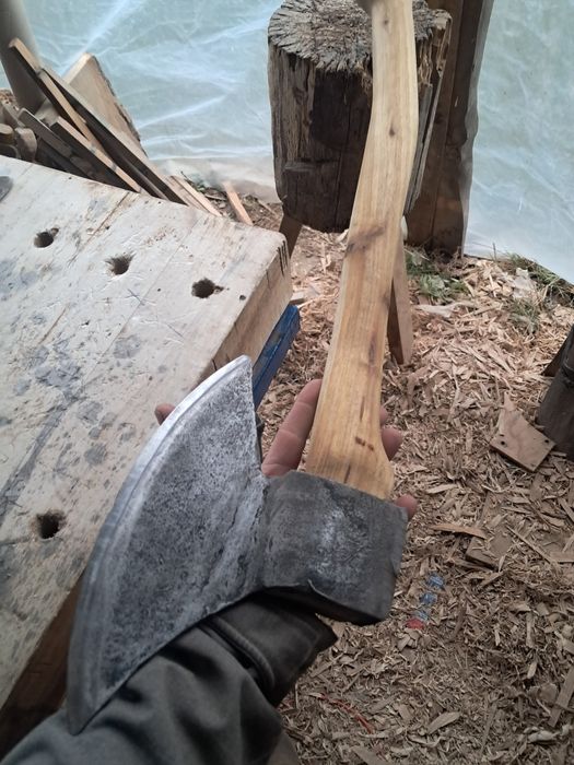 Toporek ciesielski prawy