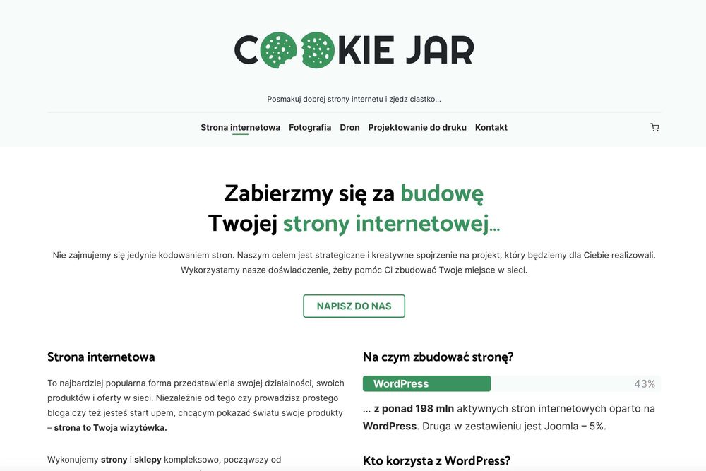 Strony www, sklepy internetowe, zdjęcia, SEO, reklamy Google