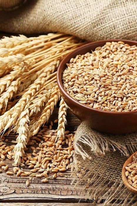 Продам зерно по гарній ціні