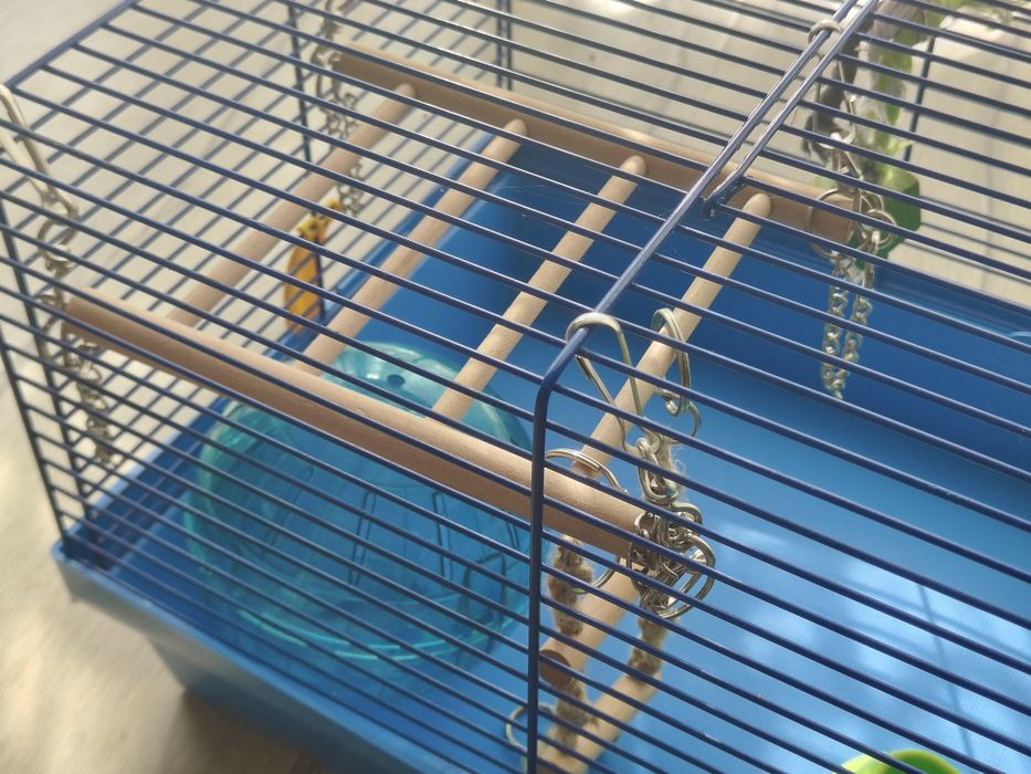 Klatka dla chomika+ kula