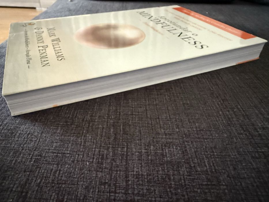 Livro “Aprofundar o Mindfulness”