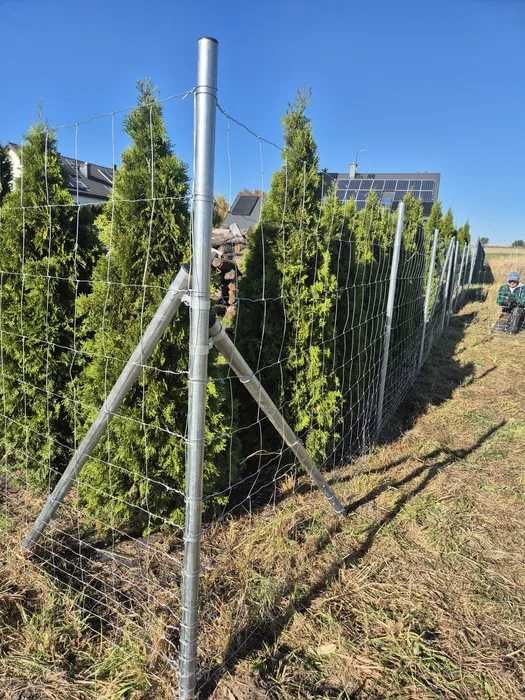 Słupek Słupki ogrodzeniowe rurowe OCYNK fi 40 2,3m + kapturek gratis