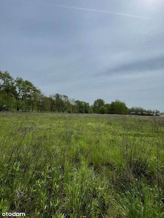 Działka 1,35 ha Kępa Zawadowska