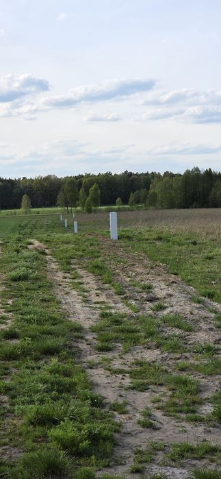 Sprzedam działki Budowlane