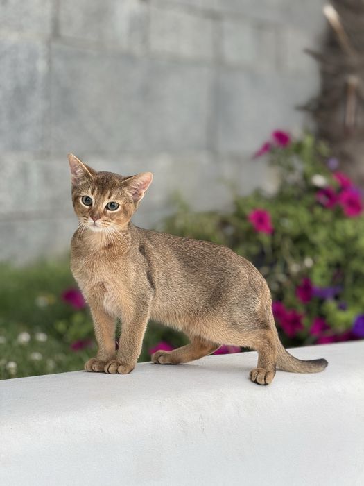 Найніжніший хлопчик чекає на улюблену родину