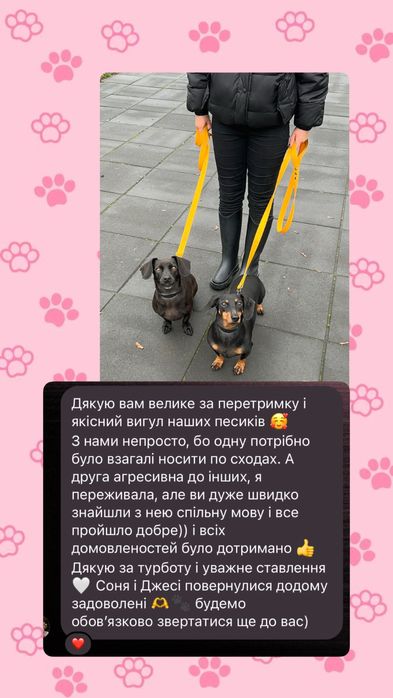 Перетримка для тварин Київ