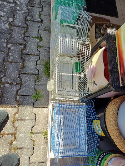 Gaiolas para pássaros 6 unidades