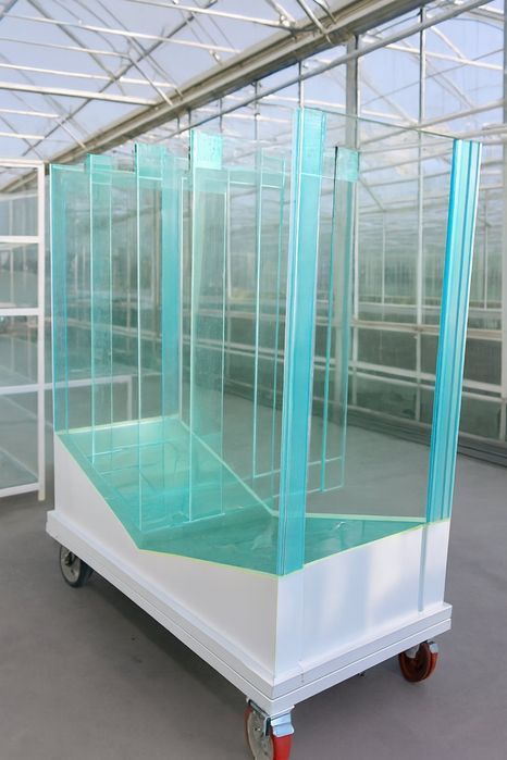 Запис на навчання інкубації креветок Макробрахіум Розенберга та АККР