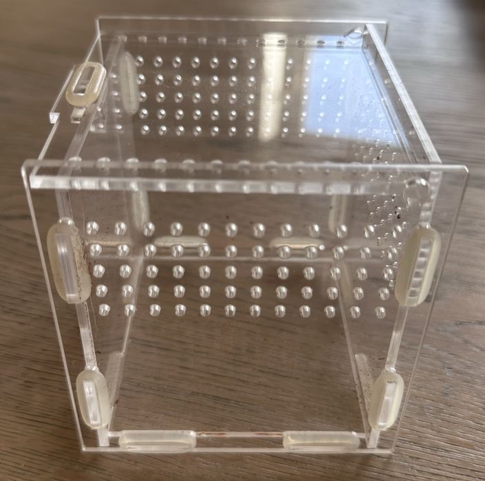 Terrarium 10x10x10cm