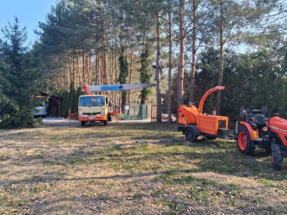 Wywóz gałęzi,karp /Wycinka drzew