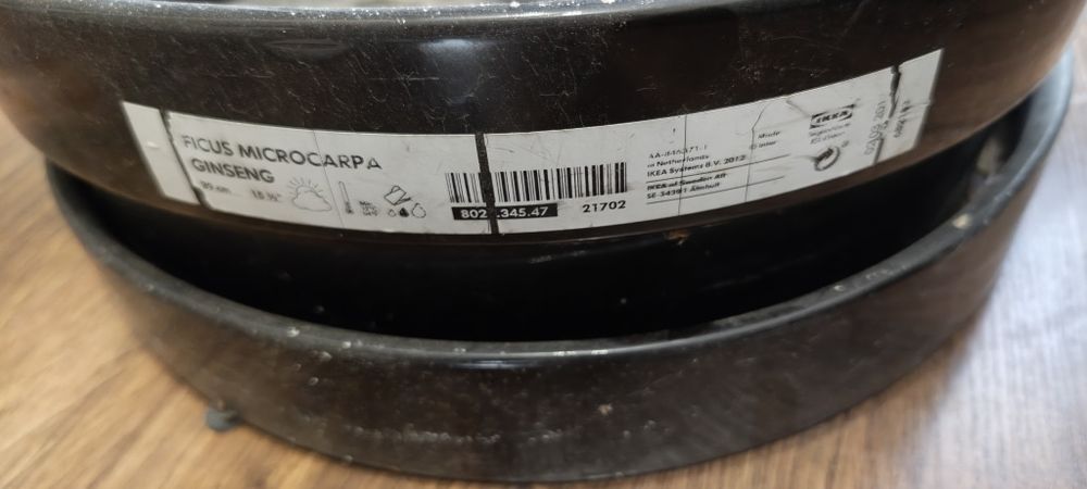 Ceramiczna duża donica bonsai - Ikea