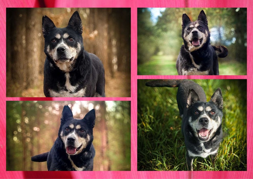 ANOE - marzy o nowym domu i rodzinie