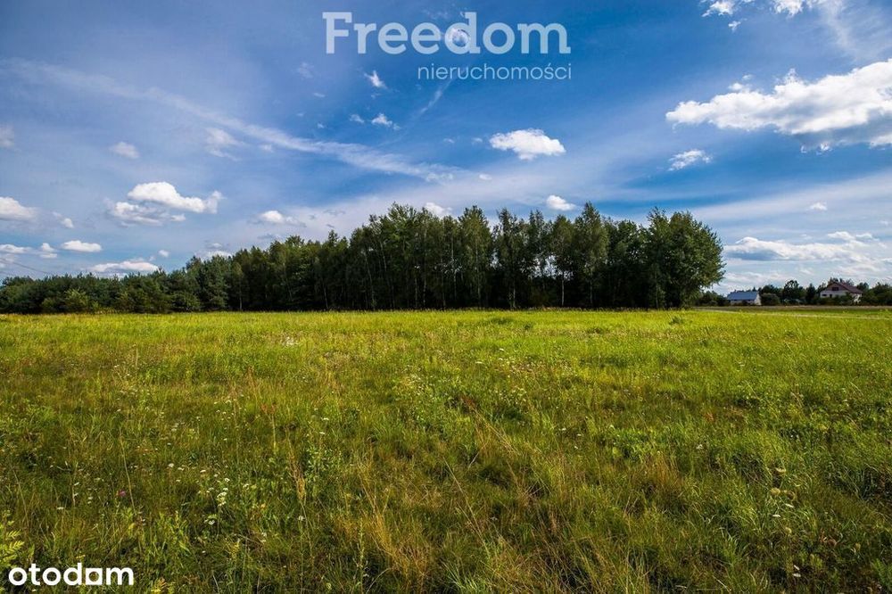Działka budowlana 68a Rakszawa Wz