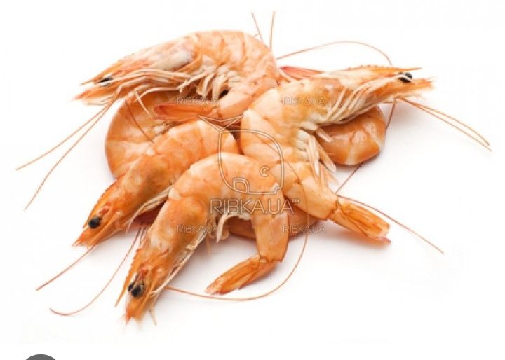 Креветка тигровая 40/60