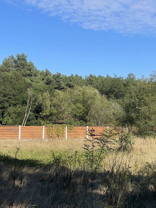 Продам 19 соток під забудову. Ліс, світло, газ! Проців