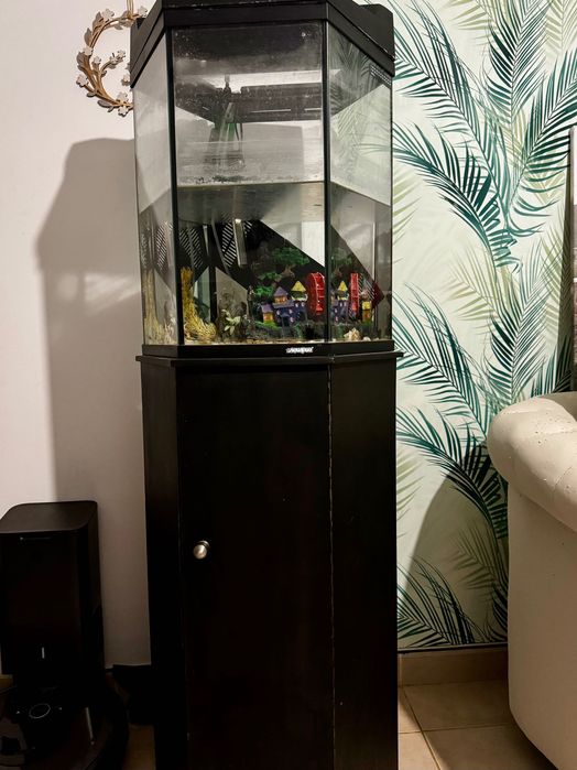 Aquário com móvel completo