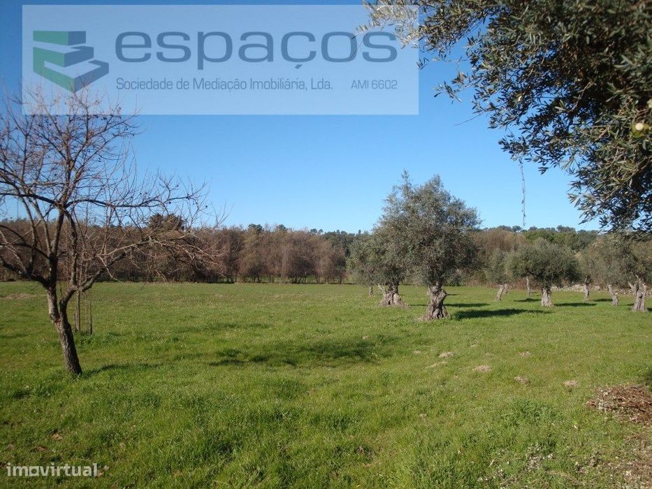 Quinta com construção rural a confinar com rio