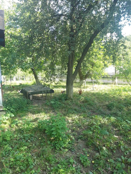 Продається будинок з складськими приміщеннчмиміщеннями
