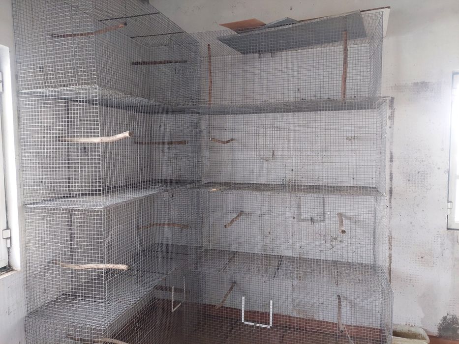 Gaiolas para criação de aves