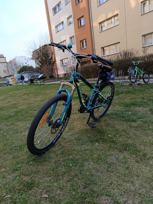 Rower Discovery 24”