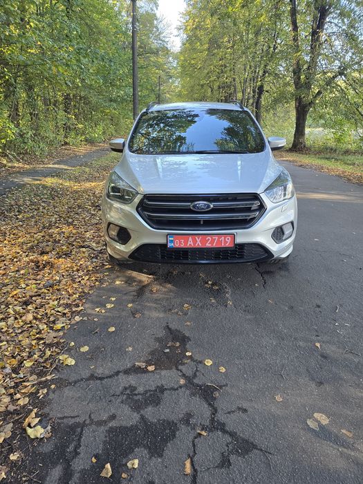 Оренда авто , Прокат авто Форд куга