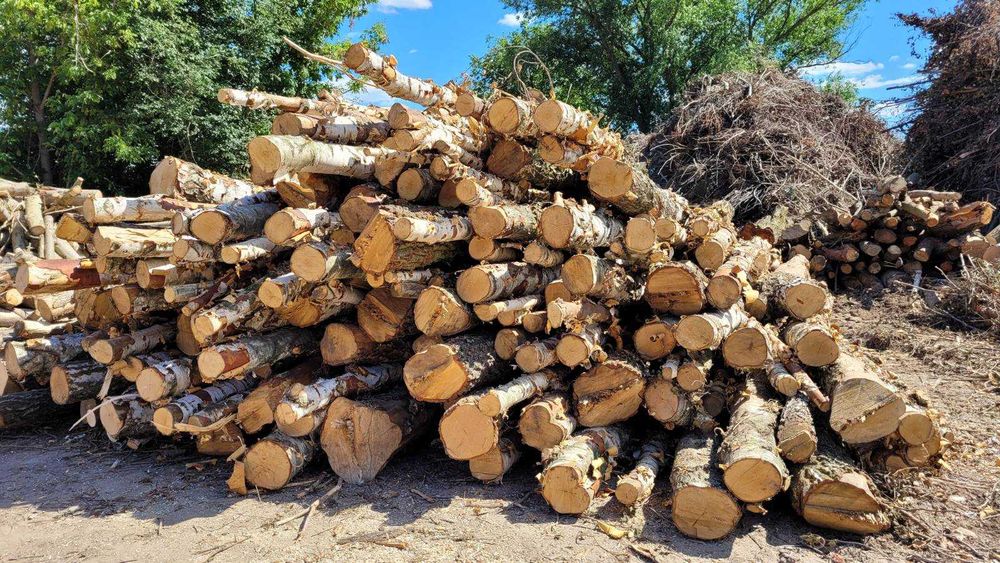 Sprzedam drewno opałowe/kominkowe! Brzoza, Jabłonka Olcha Sosna Dąb