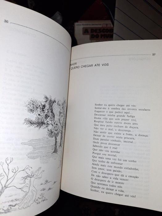 Natália Pidwell Pensamentos livro 1980 ilustrações Manuela Correia