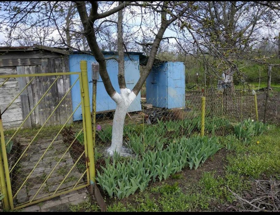 Продам дачу з участком