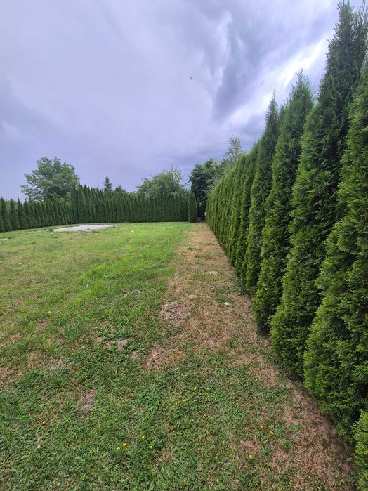 Ogródek działkowy - ROD Senior