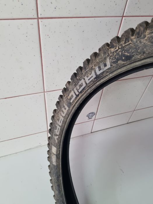 Shwalbe magic mary 26