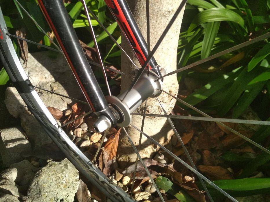 Rodas de estrada Campagnolo Zonda (10-11v)