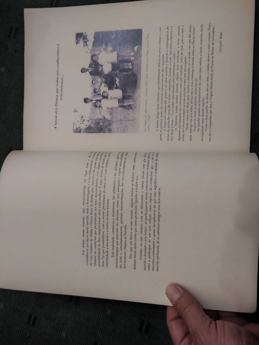 Os descendentes de Damia Rosa do Rosário e Luiz António da Matta 1858/2007