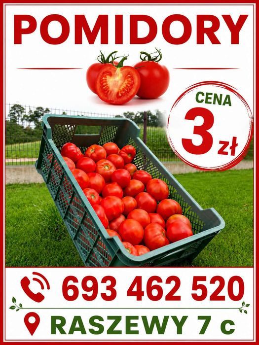 Pomidory polne okrągłe słodkie