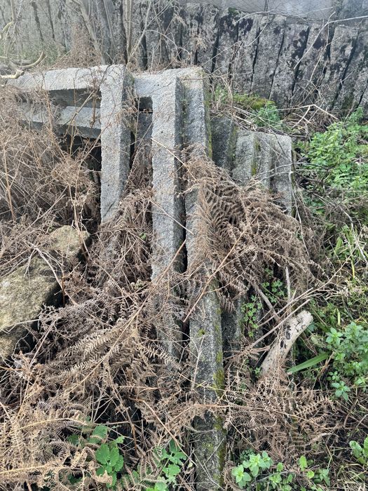 Esteios/pedras para vinhas