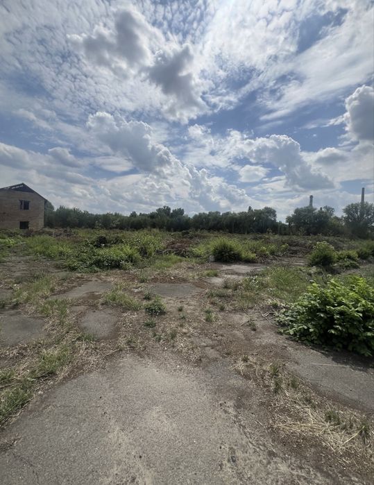 Фото ділянки