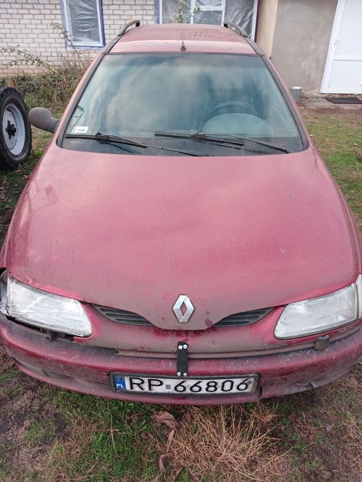 Бойовий кінь в гарному стані