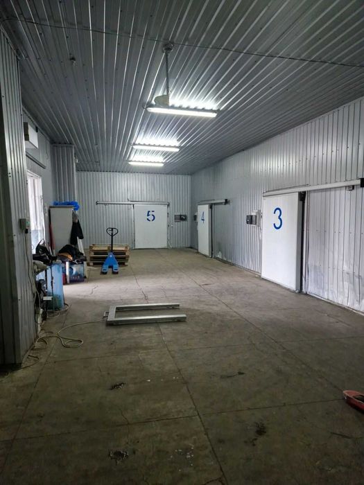 Здаються в оренду морозильні камери