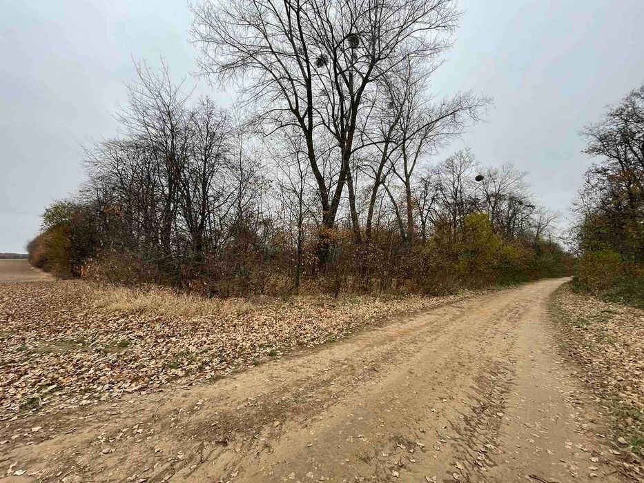 Продається земельна ділянка в с. Іванівка 7811