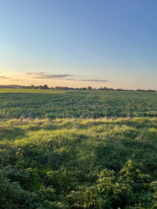 Ostatnia działka w pierwszej linii zabudowy! 15 min. od Lublina