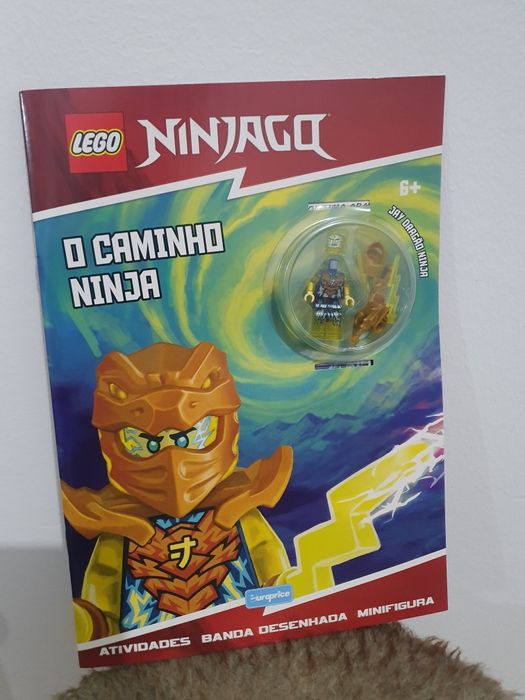 Lego Ninjagoo novo