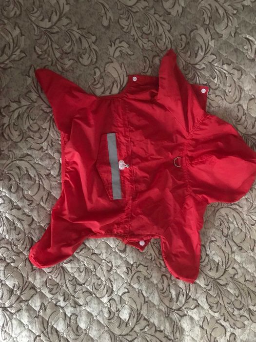 Дощовик для маленької собачки.