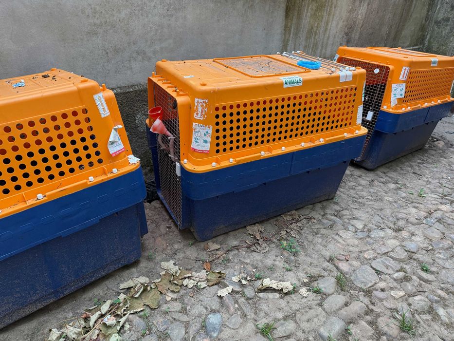 Transportadoras para cães / animaes medida XL