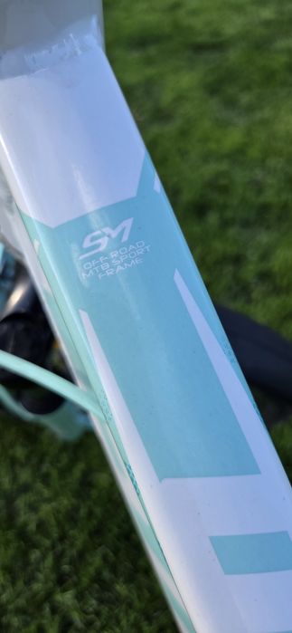 Rower STORM Queen 24 ''