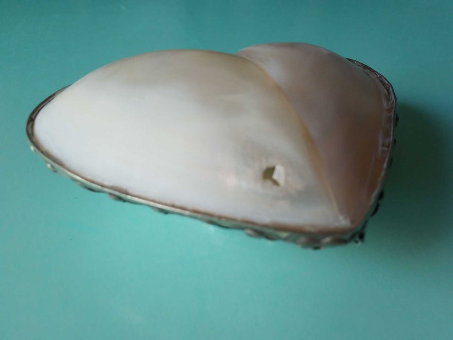 Caixa em madrepérola, em forma de coração, com argola para pendurar