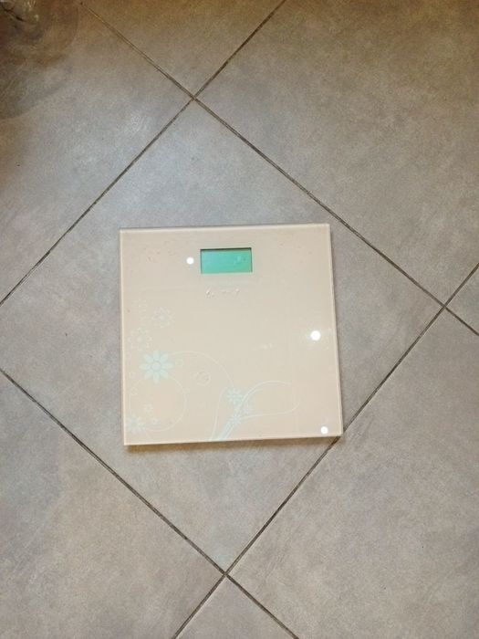 Ваги підлогові DELFA