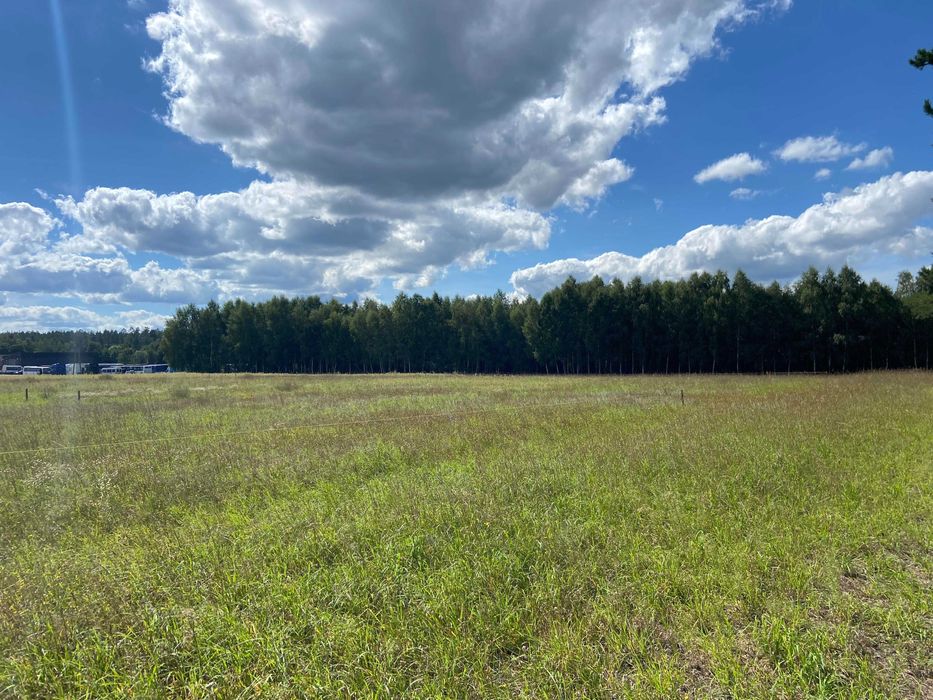 Malowniczo położona działka budowlana blisko lasów i jezior.